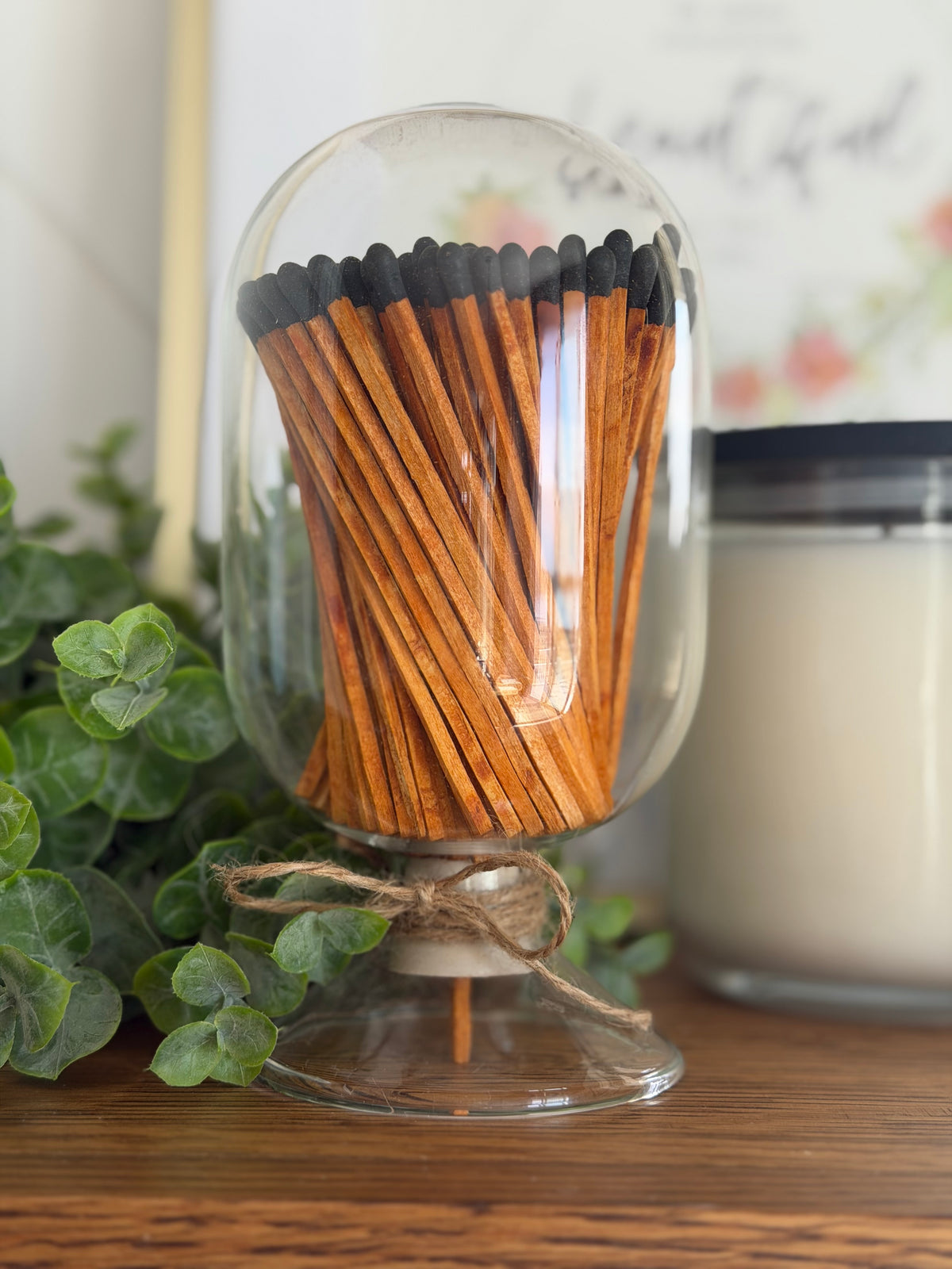 Glass Apothecary Cloche & Matches