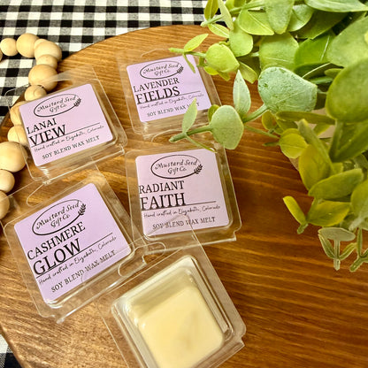 1 oz Wax Melt Sampler