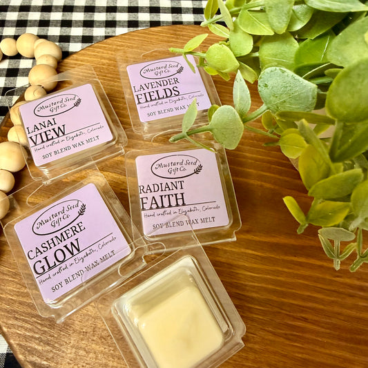 1 oz Wax Melt Sampler